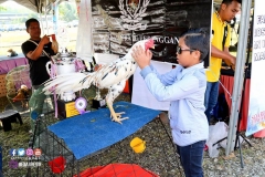 27788182_1910240525952736_3664145084486958305_o_1910240525952736