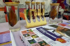 28871075_1925261181117337_7581364352641400832_o_1925261174450671