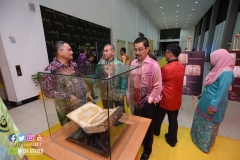 45823635_2086536254989828_1111772453736022016_o_2086536251656495