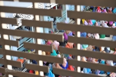 12973174_1585296181780507_5434122501865250796_o_1585296181780507