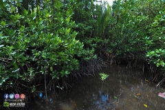 17637017_1769594690017321_8756250898652347423_o_1769594690017321