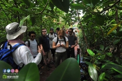 17807445_1769593623350761_8995875276827121773_o_1769593623350761