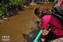 17854744_1769593003350823_3617079720156992373_o_1769593003350823