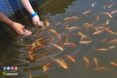 17855369_1769591836684273_1317236407963495978_o_1769591836684273