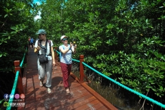 17855450_1769594583350665_2247779531746505079_o_1769594583350665