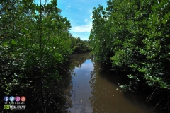 17855543_1769593926684064_7721421161711985235_o_1769593926684064