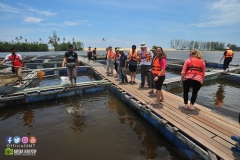 17880079_1769593306684126_1967358310216193185_o_1769593306684126