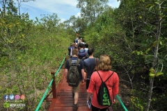 17880515_1769594716683985_7309812091349454951_o_1769594716683985