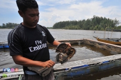 17880672_1769591996684257_1172696120688171783_o_1769591996684257