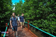 17917145_1769594600017330_4855072549984324940_o_1769594600017330