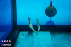 30581284_1941610772815711_5954935068861399040_o_1941610759482379