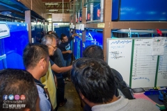 30581575_1941610942815694_4914663916409192448_o_1941610932815695