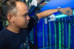 30581801_1941612542815534_7933740430431092736_o_1941612536148868