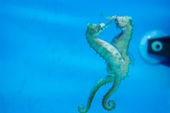 30594533_1941610739482381_8448482257877860352_o_1941610726149049