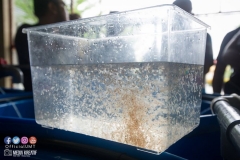 30594890_1941611869482268_8720489769458466816_o_1941611856148936