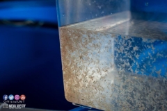 30624527_1941611862815602_9129161061633622016_o_1941611852815603