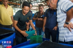 30629088_1941612322815556_2659727518172446720_o_1941612319482223