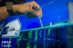 30629658_1941611732815615_1262141208684134400_o_1941611726148949