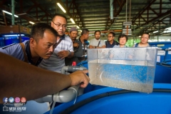 30629847_1941612526148869_6136914156042846208_o_1941612519482203