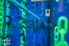 30657272_1941611749482280_3752258496947552256_o_1941611742815614