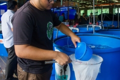 30688221_1941610886149033_8965606026942349312_o_1941610879482367