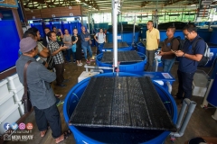 30688734_1941612166148905_9115605079695556608_o_1941612162815572