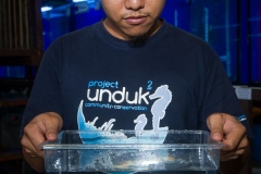 30698543_1941610719482383_3099817449600581632_o_1941610712815717