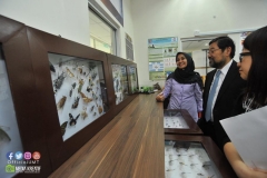 19942597_1816786285298161_7963117632991372521_o_1816786285298161