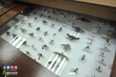 19942880_1816786298631493_8751628708850321949_o_1816786298631493