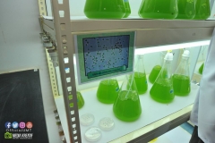 19942908_1816785721964884_3044314144507317771_o_1816785721964884