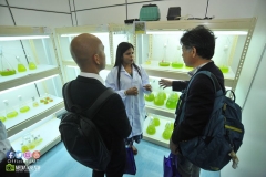 20017851_1816785878631535_7419151530679475216_o_1816785878631535