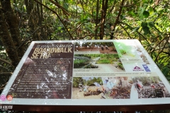 38844809_2032474250396029_1629400791263477760_o