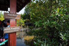 38897681_2032477050395749_768956809938468864_o