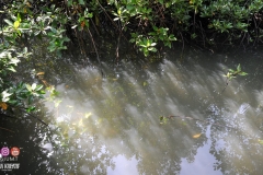 38918440_2032476420395812_5500732416064487424_o