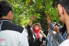 39027563_2032474393729348_3809722840085692416_o