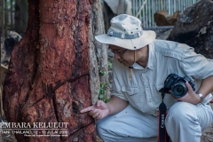 13641209_1626868207623304_7288936691749389154_o_1626868207623304