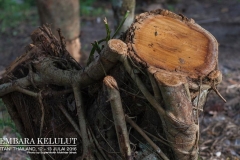 13667809_1626867470956711_5390916729555540095_o_1626867470956711