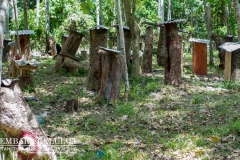 13680081_1626867137623411_1906460837929432062_o_1626867137623411