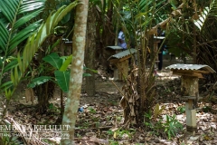 13691020_1626866977623427_3980371911743650670_o_1626866977623427