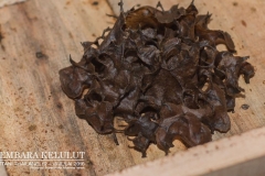 13691048_1626868434289948_3010956700110566602_o_1626868434289948