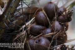 13692802_1626866940956764_1504414945617946551_o_1626866940956764