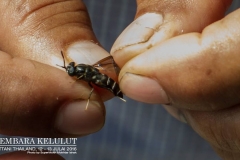 13701150_1626866640956794_2989595416764349707_o_1626866640956794