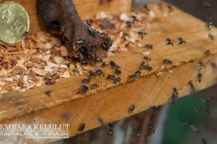 13731885_1626866614290130_7244253132690222434_o_1626866614290130