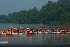 11998816_1498131157163677_4096790472347489813_n_1498131157163677