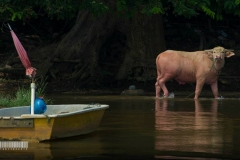 12009670_1498131857163607_3801537966469186143_n_1498131857163607