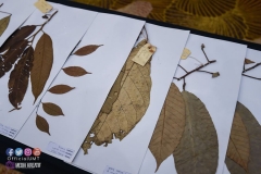 22424166_1856343568009099_111794089821755871_o_1856343568009099