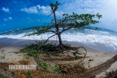 18034101_1773899309586859_4170037830892938461_n_1773899309586859