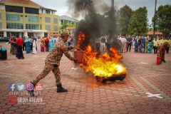 29101621_1926737504303038_2005722376880259072_o_1926737500969705