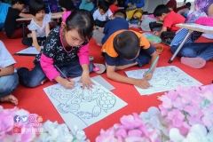 18422136_1786497018327088_7435027813980194095_o_1786497018327088