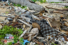 18489515_1786501618326628_2206778301693954496_o_1786501618326628